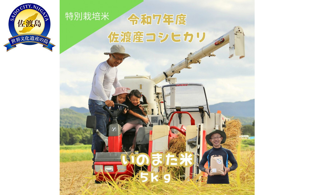 令和7年産コシヒカリ　精米（無洗米）５kg　農家直送　佐渡市いのまた米