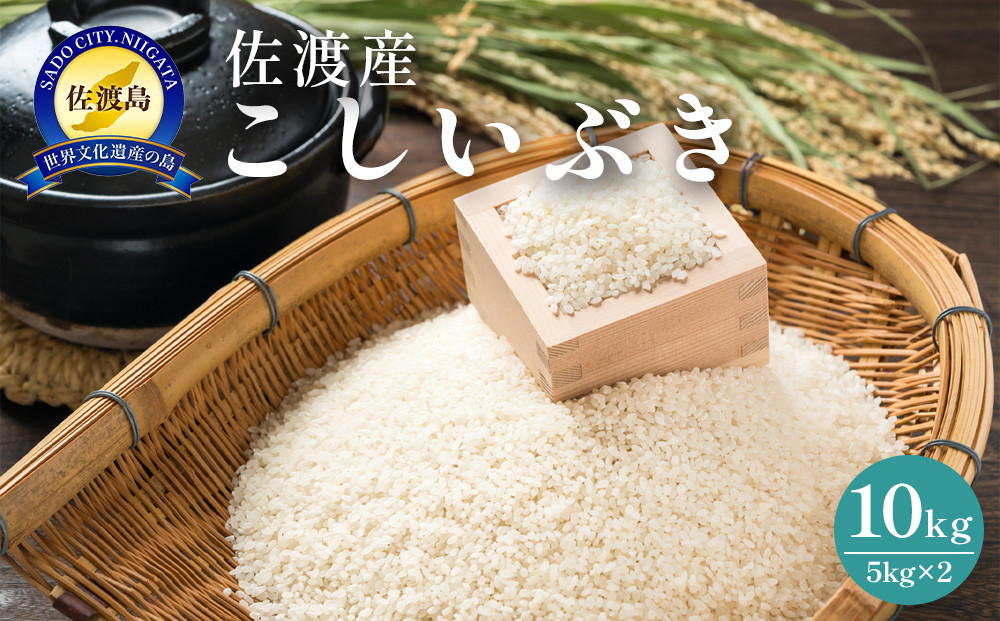 佐渡島産　こしいぶき　10kg（5kg×2）　令和7年産