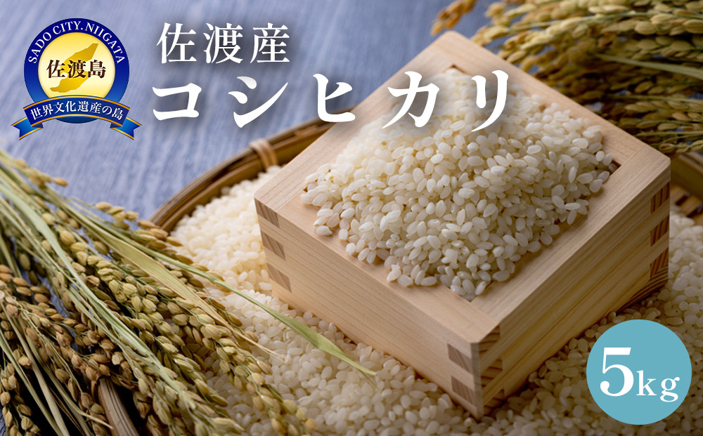 佐渡島産　コシヒカリ　5kg　令和7年産