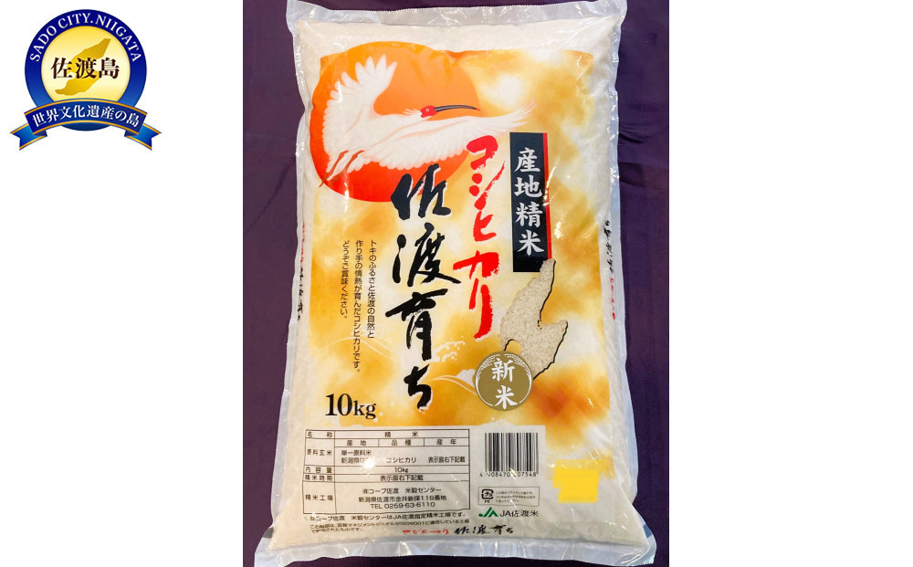 「令和7年産」佐渡育ち　１０ｋｇ