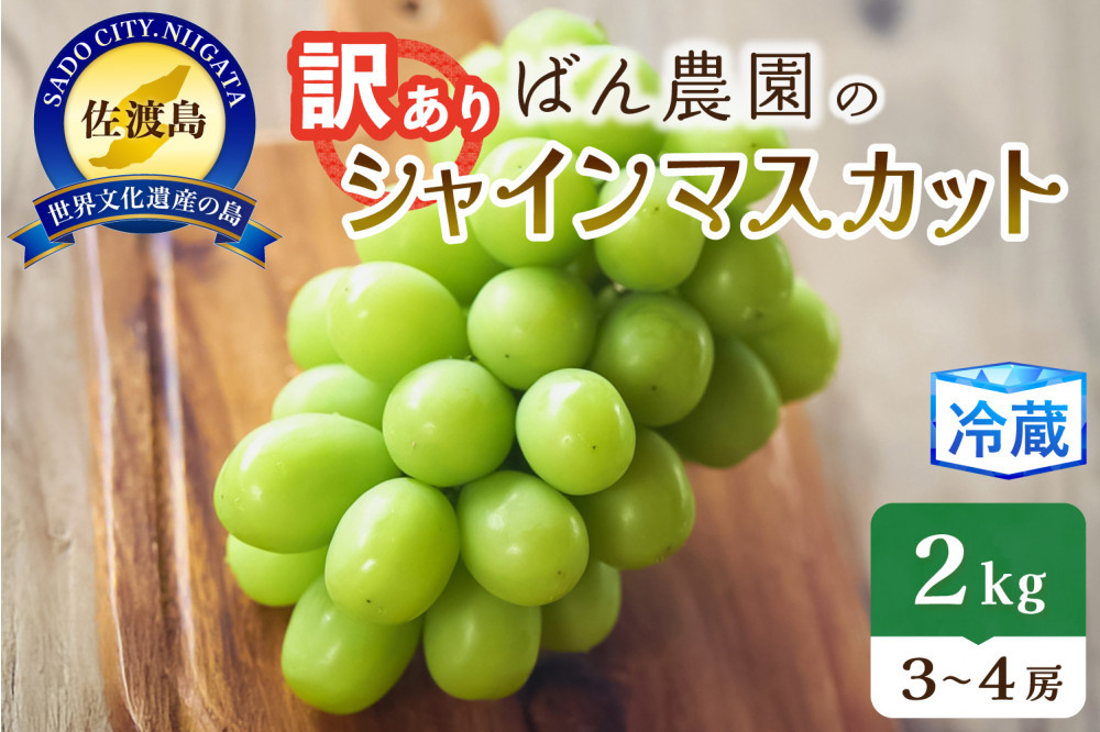 【訳あり】シャインマスカット2kg　3～4房　佐渡島産　