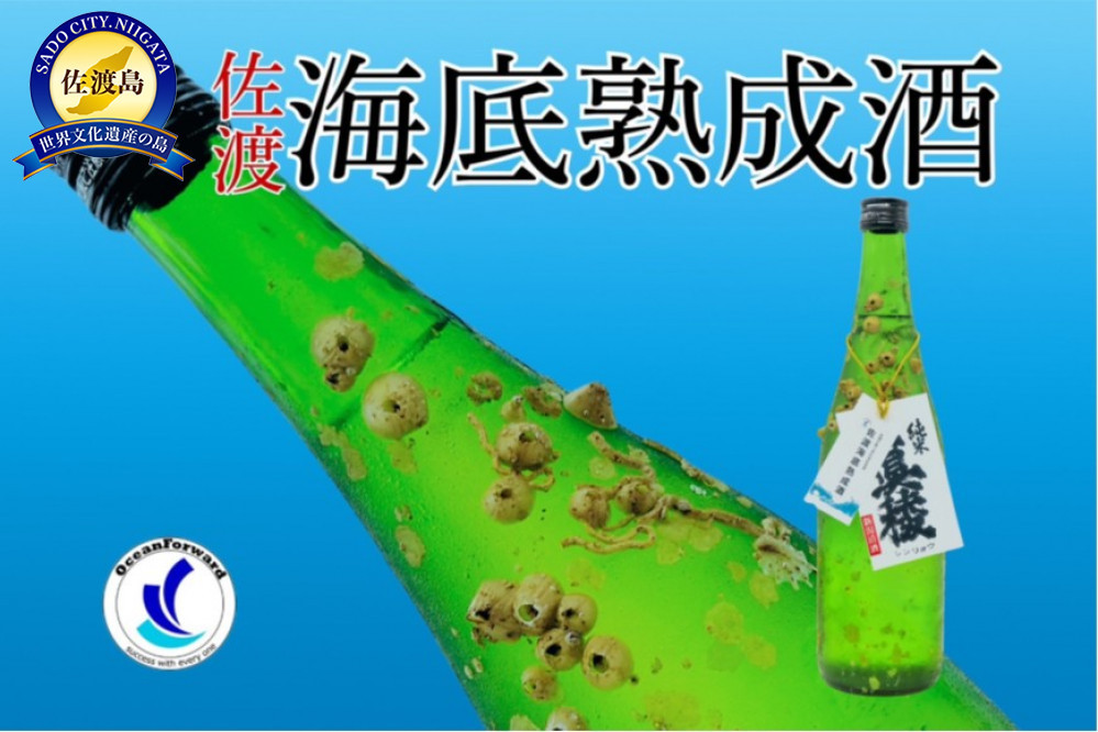 酒 日本酒 純米吟醸酒　佐渡 海底熟成酒 「真稜」720ml×1本