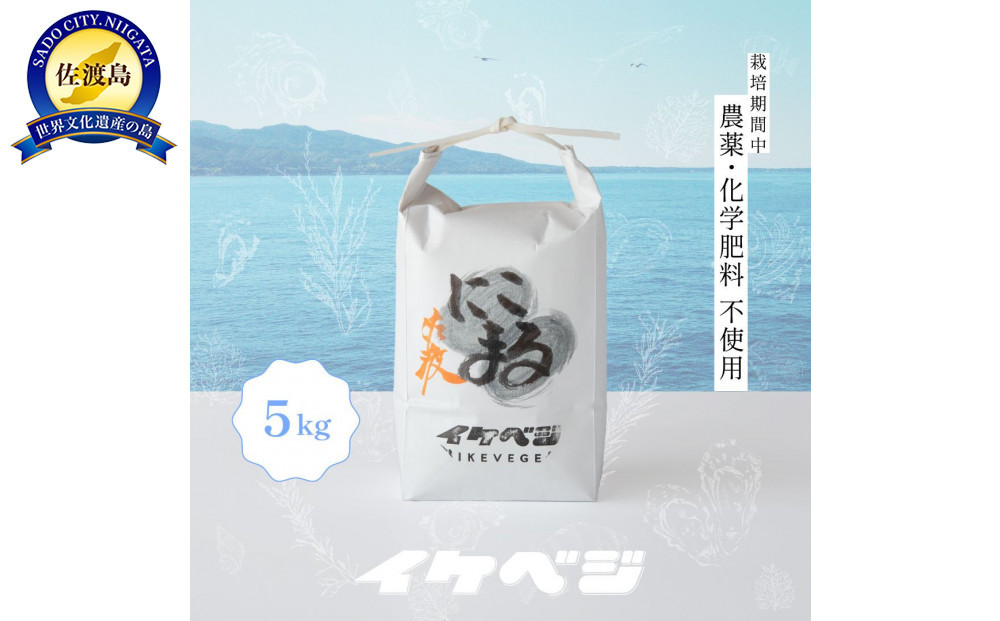 新潟県佐渡産 令和7年産 【にこまる】 白米 5kg