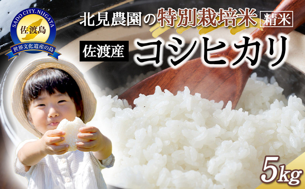 【令和7年産】北見農園の特別栽培米 令和7年佐渡産コシヒカリ 5kg 農家自慢の逸品 精米