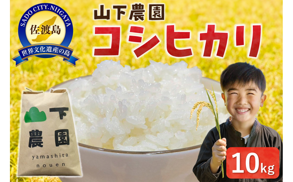 山下農園 令和7年産 佐渡産コシヒカリ10kg