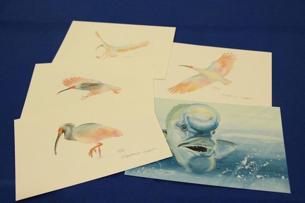 アニマルレスキューdearPAWSオリジナルグッズ