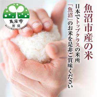 令和7年産 米農家自慢の 特別栽培米 魚沼産 コシヒカリ（精米）5kg×1袋 お米