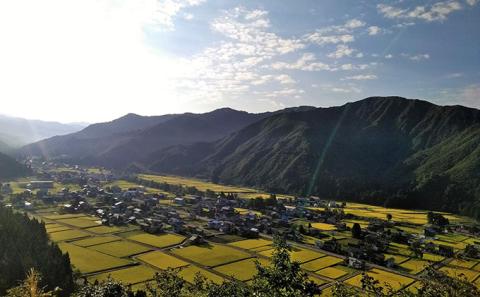 令和7年産 生産者直送！魚沼産コシヒカリ 雪里米（ふるさとまい）精米 3kg お米 新潟県産