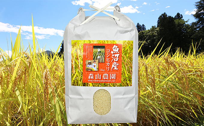 令和7年産 森山農園 魚沼産コシヒカリ 5kg お米 コシヒカリ