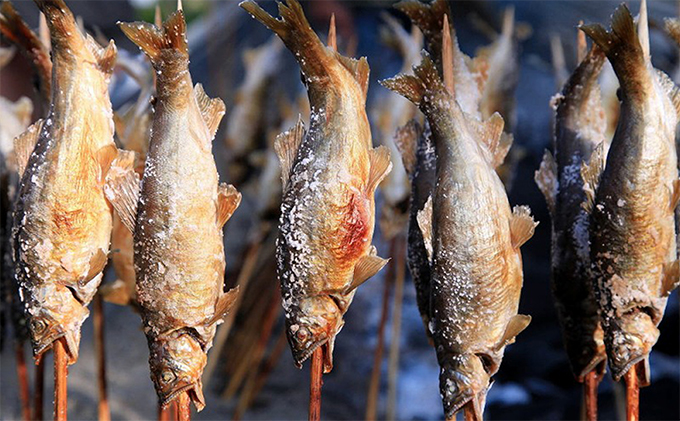 遊漁年券Aあゆ チケット