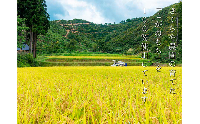 魚沼産 こがねもち 100％使用 切餅10個入り×3袋 化粧箱入り