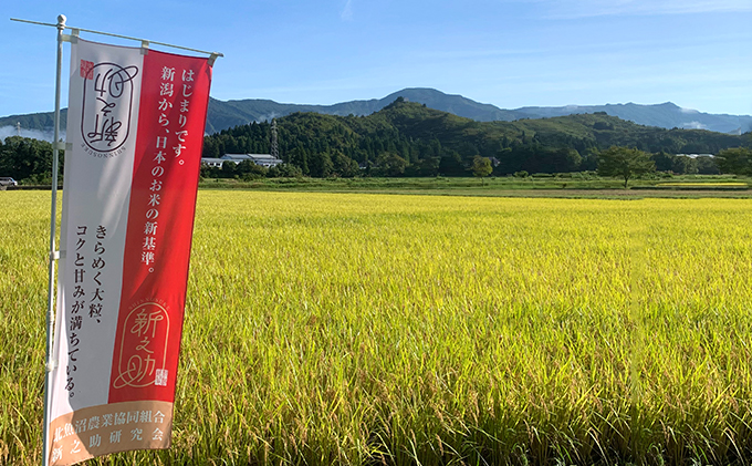 令和7年産 北魚沼産コシヒカリ・北魚沼新之助 食べ比べセット お米 新潟県産