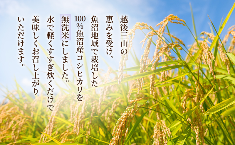 【令和7年産】無洗米　魚沼産コシヒカリ　6kg（3kg×2袋）