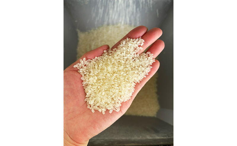 【令和7年産】魚沼産コシヒカリ(玄米)30kg 米 コメ こしひかり ブランド米 お取り寄せ 魚沼市