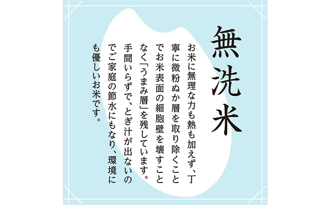 令和7年産 雪室貯蔵 魚沼産コシヒカリ無洗米2.5kg お米