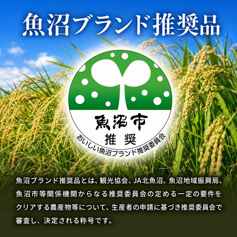米 定期便 12ヶ月 コシヒカリ 5kg 精米 白米 お米 魚沼産コシ
