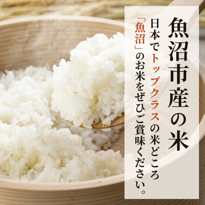 令和5年産 魚沼産 米 こだわりの3品種 食べ比べ セット 精米 6kg (2kg