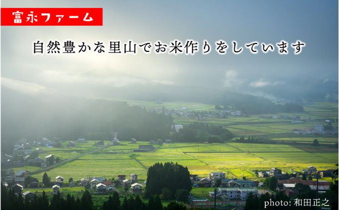 令和7年産 富永ファーム「田でん物語」魚沼産コシヒカリ（精米）5kg お米 白米 ご飯 ブランド米 銘柄米 精米したて 新潟県産 直送 主食 炭水化物