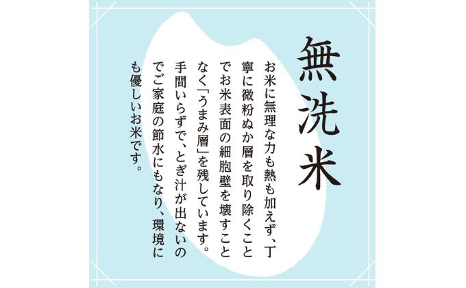 令和7年産 雪室貯蔵 魚沼産コシヒカリ無洗米10kg お米 ライス ご飯 ブランド米 銘柄米 お弁当 おにぎり 直送 主食 炭水化物 新潟県産 新鮮なおいしさ 手軽 便利 時短