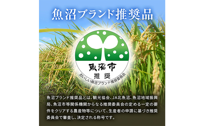 【令和8年産 先行予約】【新潟県認証・特別栽培米】魚沼産