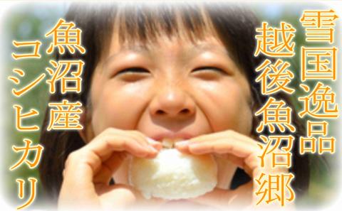 令和7年産【雪国逸品 精米2kg】越後魚沼郷 魚沼産コシヒカリ お米 人 自然調和 ミネラル 奇跡 自然環境 努カ 香り つや 粘り 極上