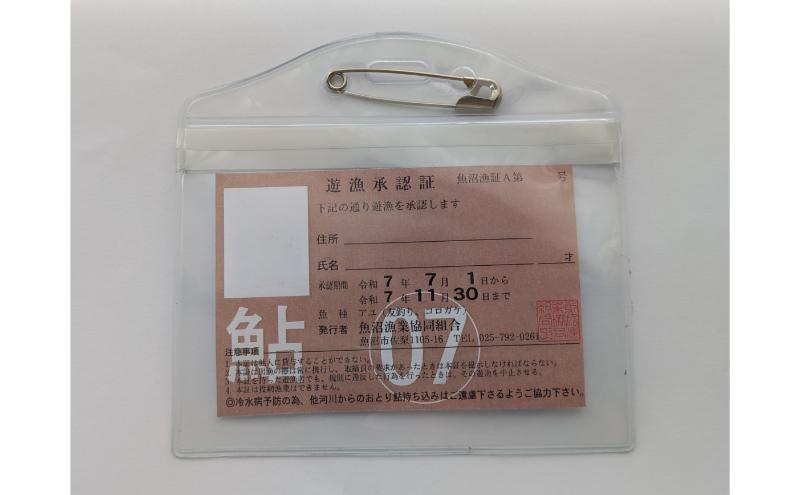 遊漁年券Aあゆ チケット