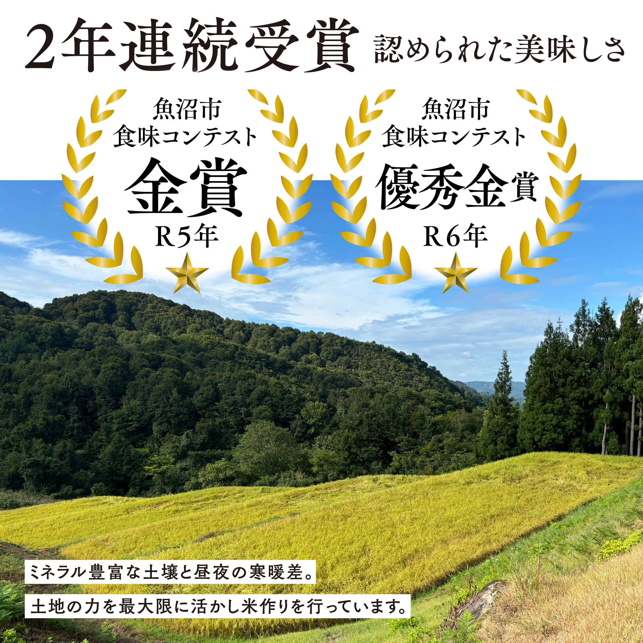 令和7年産 魚沼産コシヒカリ雪の恵（精米）5kg 魚沼市 米 こめ コメ お取り寄せ