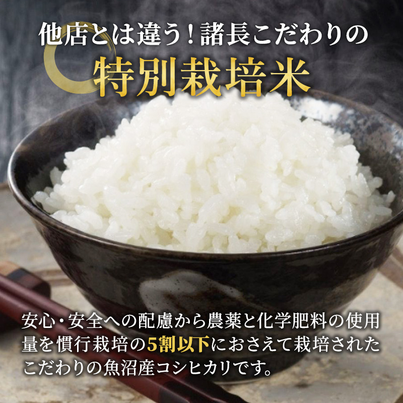 特別栽培米 お米アドバイザー厳選 魚沼産 コシヒカリ 精米 