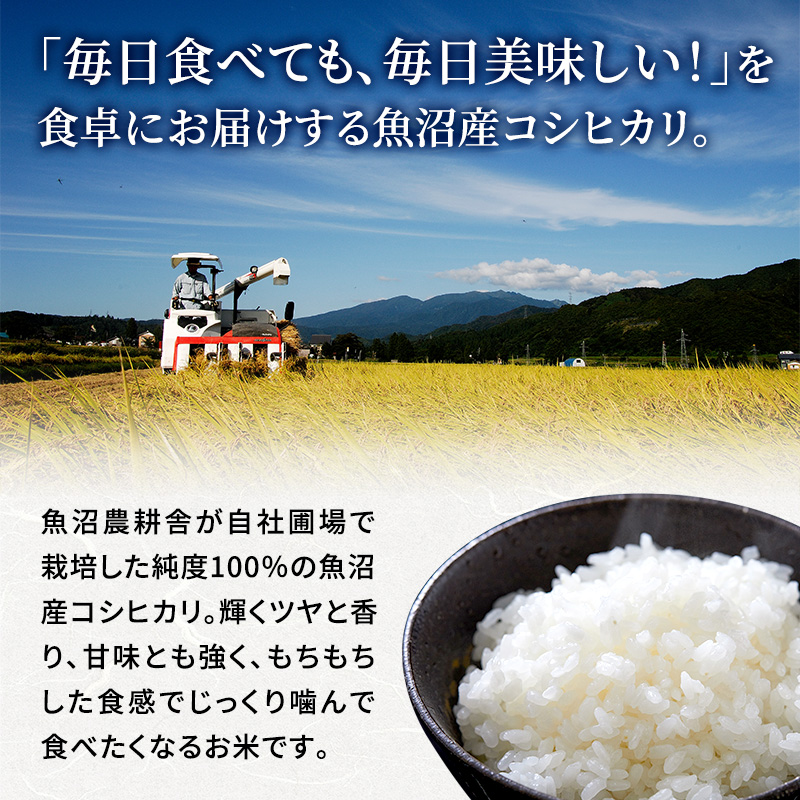 令和7年産 米農家自慢の 魚沼産 コシヒカリ（精米）10kg（5kg