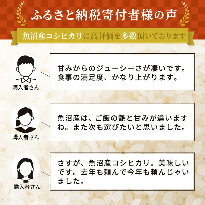令和7年産 お米マイスター厳選 魚沼産 コシヒカリ 無洗米 6kg (3kg×2) ( 米 お米 こめ コメ おこめ 白米 こしひかり ) 新潟県