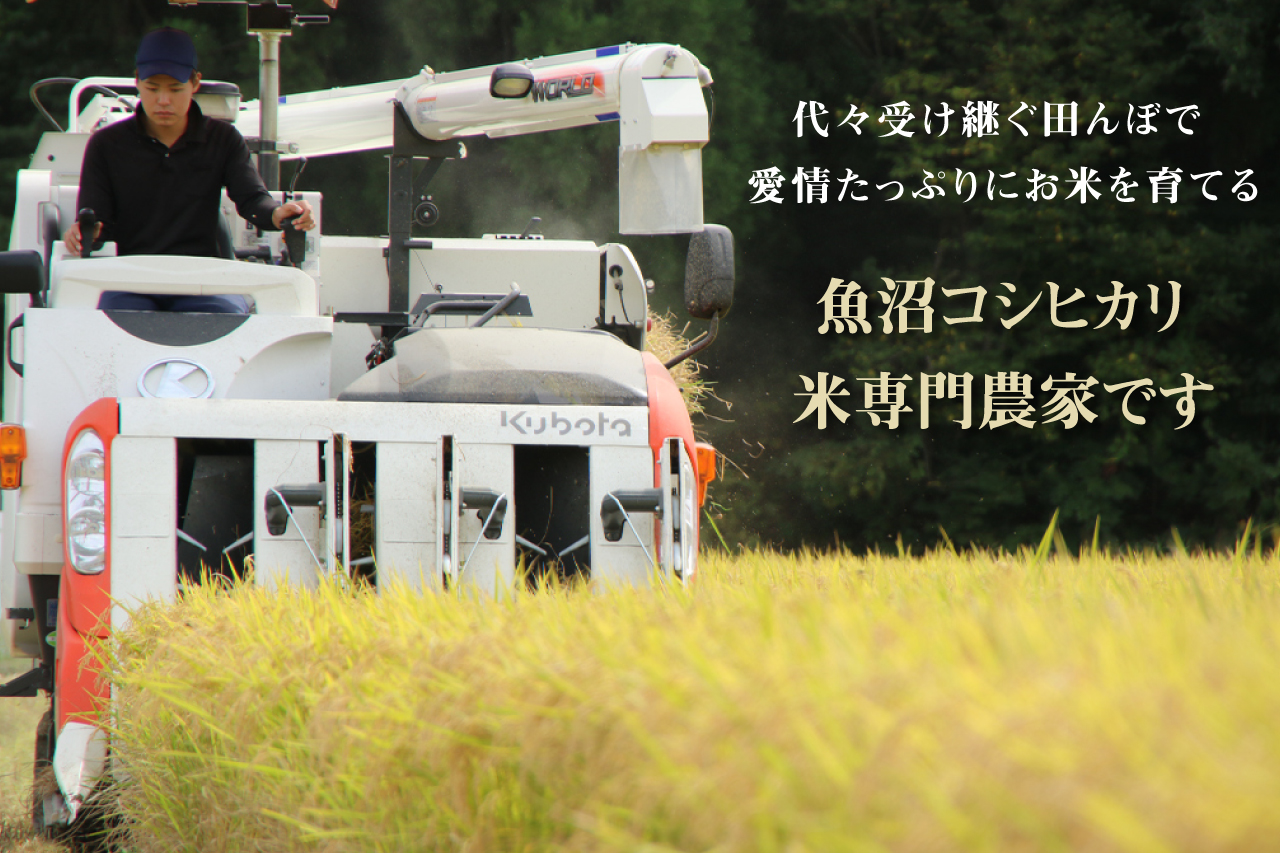 農家直送！ 魚沼産 コシヒカリ 無洗米 60kg 毎月5kgを12ヶ月間お届け （ 米 定期便 12ヶ月 こしひかり 5kg お米 こめ コメ 魚沼産コシヒカリ 魚沼 新潟 魚沼産こしひかり おこめ）