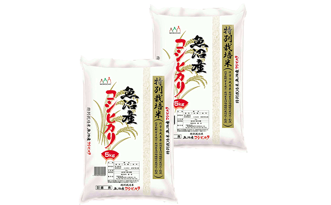 特別栽培米 お米アドバイザー厳選 魚沼産 コシヒカリ 精米 10kg （ 5kg × 2 ） 6ヶ月 連続（ 米 定期便 こしひかり 特別栽培 魚沼 お米 定期 新潟 魚沼産コシヒカリ 魚沼産こしひかり こめ お楽しみ 6回 ）