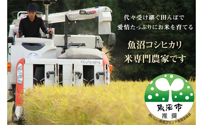 令和7年産 農家直送！ 魚沼産 コシヒカリ 無洗米 4kg (スタンドパック 2kg × 2個 )（ 米 こしひかり お米 こめ コメ 魚沼産コシヒカリ 魚沼 新潟 おこめ 白米 精米 ） 新潟県