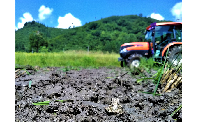 生産者直送！魚沼産コシヒカリ【雪里米 ふるさとまい】 精米3kg×2 6ヶ月連続お届け