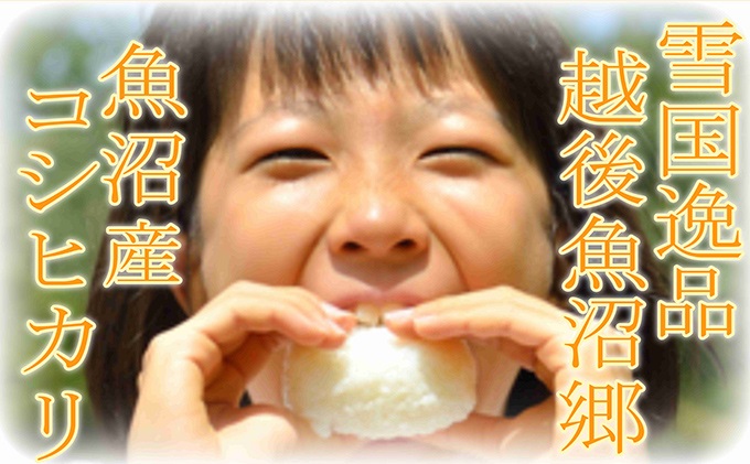 【定期便：雪国逸品 精米10kg×3ヶ月】越後魚沼郷 魚沼産コシヒカリ お米 人 自然調和 ミネラル 奇跡 自然環境 努カ 香り つや 粘り 極上