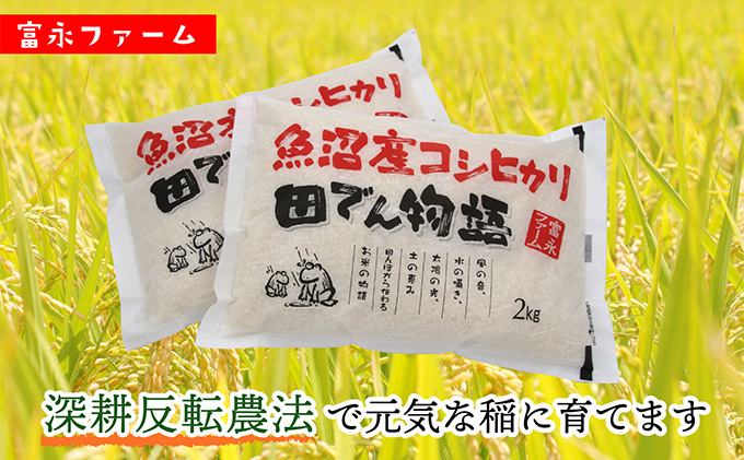 令和7年産 富永ファーム「田でん物語」魚沼産コシヒカリ（精米）4kg（2kg×2） お米 白米 ご飯 ブランド米 銘柄米 精米したて 新潟県産 直送 主食 炭水化物