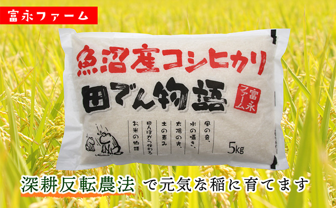 令和7年産 富永ファーム「田でん物語」魚沼産コシヒカリ（精米）20kg（5kg×4） お米 白米 ご飯 ブランド米 銘柄米 精米したて 新潟県産 直送 主食 炭水化物
