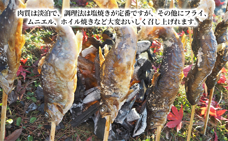 魚沼の山女（ヤマメ）冷凍10尾入り