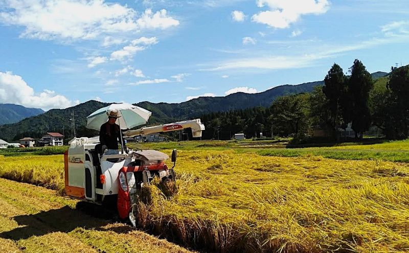 令和7年産 ブランド米 魚沼産コシヒカリ 精米 5kg 米 コメ こめ お米 おこめ 白米 こしひかり 新潟県産 人気 お取り寄せ