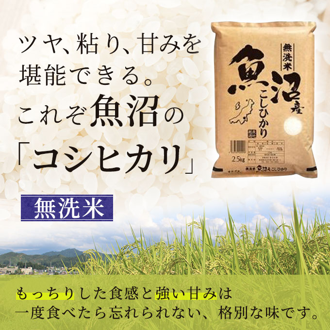 令和7年産 雪室貯蔵 無洗米 お米マイスター厳選 魚沼産 コシヒカリ 1等米 2.5kg　米 こしひかり 白米