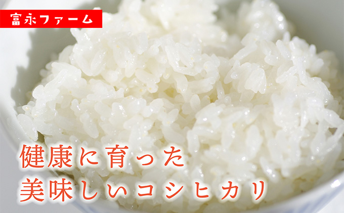 令和7年産 富永ファーム「田でん物語」魚沼産コシヒカリ（精米）10kg（5kg×2） お米 白米 ご飯 ブランド米 銘柄米 精米したて 新潟県産 直送 主食 炭水化物