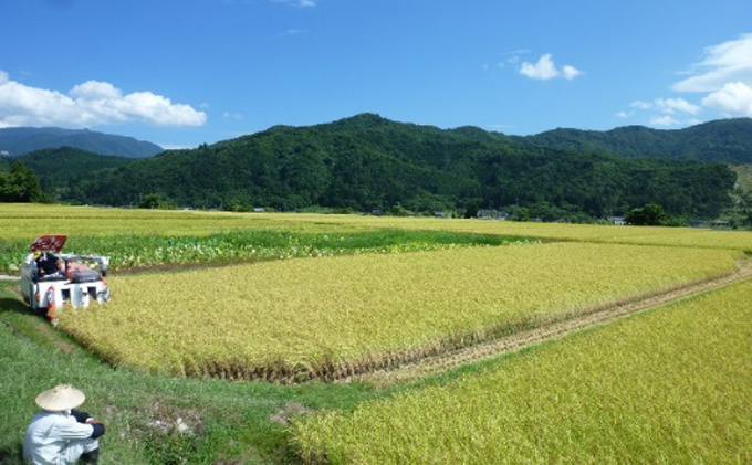 どぶろく「き八（きはち）」1800ｍl