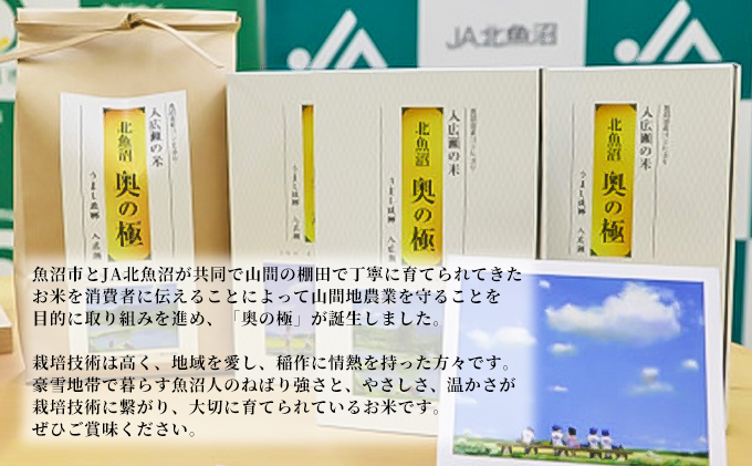 令和7年産 北魚沼「奥の極」入広瀬の米（うまし故郷 入広瀬）精米2.9kg お米 白米 ライス ご飯 おにぎり お弁当 和食 主食 国産 炭水化物 直送 産地直送 食べ物 食品 新潟県産 魚沼市産