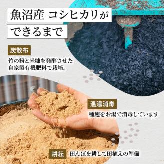 令和7年産【無洗米】「米食味鑑定士 厳選」魚沼産コシヒカリ 9kg（3kg×3袋） お米