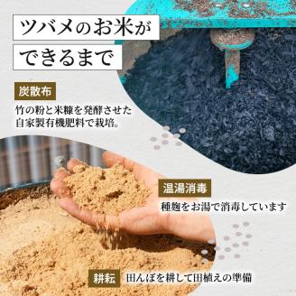 令和7年産 ツバメの飛び交う棚田米 精米3kg お米 白米 ライス ご飯 ブランド米 銘柄米 コシヒカリ 魚沼産コシヒカリ 新潟県産 魚沼市産