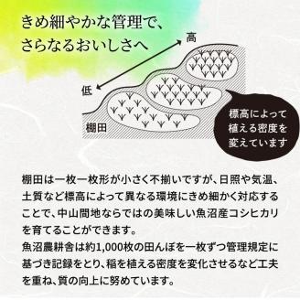 令和7年産 米農家自慢の特別栽培米魚沼産コシヒカリ(精米)10kg お米