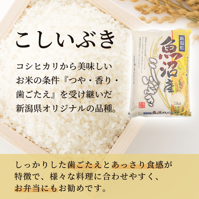 令和5年産 魚沼産 米 こだわりの3品種 食べ比べ セット 精米 6kg (2kg