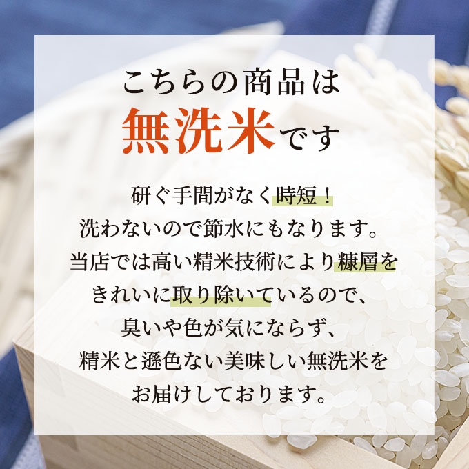 無洗米 お米マイスター厳選 魚沼 コシヒカリ 5kg × 3ヶ月 連続お届け