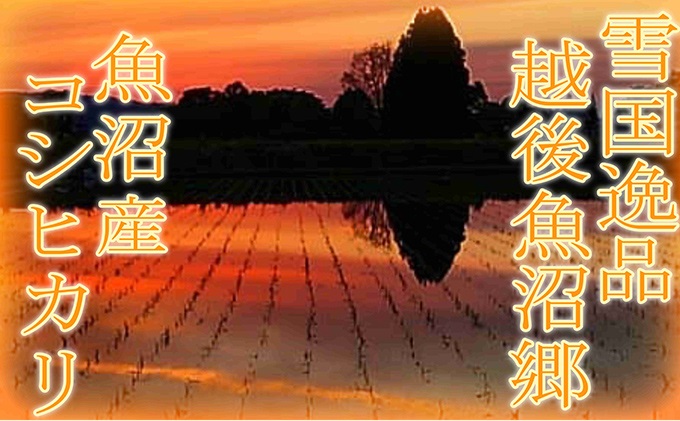 【定期便：雪国逸品 精米10kg×3ヶ月】越後魚沼郷 魚沼産コシヒカリ お米 人 自然調和 ミネラル 奇跡 自然環境 努カ 香り つや 粘り 極上