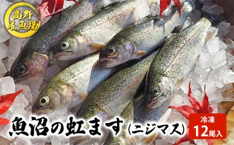 魚沼の虹ます（ニジマス）冷凍12尾入